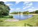 Beautiful lake view surrounded by lush greenery, offering a peaceful setting for residents at 9808 Steed Ct, Charlotte, NC 28269