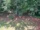 A wooded backyard offers the property plenty of privacy at 11021 Scrimshaw Ln, Charlotte, NC 28215