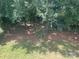This property features a large, wooded backyard that offers privacy at 11021 Scrimshaw Ln, Charlotte, NC 28215