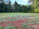 Large backyard with healthy grass and mature trees at 138 Zircon Dr, Statesville, NC 28625