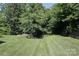 A large backyard featuring lush grass, surrounded by mature trees and greenery at 398 Hampton Trail Dr # 97, Fort Mill, SC 29708
