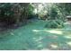 Well-maintained backyard featuring green grass, mature trees, and landscaped area at 7017 Knightswood Dr, Charlotte, NC 28226