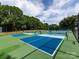 Well-maintained community pickleball courts with vibrant blue and green surfaces, surrounded by trees at 9415 Braemar Ter, Charlotte, NC 28210