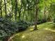 Lush yard featuring mature trees and natural landscaping offering a private outdoor retreat at 9415 Braemar Ter, Charlotte, NC 28210