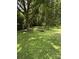 Lush, shaded backyard featuring mature trees and a designated fire pit area, ideal for outdoor gatherings and relaxation at 1902 Stonewyck Ave, Kannapolis, NC 28081