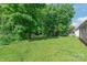 Large backyard with mature trees on a sunny day at 425 Austin Dr, Charlotte, NC 28213