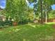 Green backyard with a wooden fence, storage shed, mature trees, and lush plantings at 5436 Topping Pl, Charlotte, NC 28209