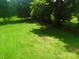 Lush backyard with mature trees and expansive green space, perfect for outdoor activities at 714 Shady Dr, Albemarle, NC 28001