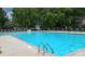 Large community swimming pool surrounded by trees and lounge chairs for residents to enjoy at 10078 Pergola View Ct, Charlotte, NC 28213