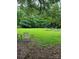 A large backyard at 111 Crystal Creek Dr, China Grove, NC 28023