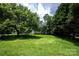 Spacious grassy backyard surrounded by mature trees, perfect for outdoor activities at 1216 Manchester Ln, Charlotte, NC 28227