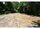 View of a cleared lot with a playground set in the distance, surrounded by mature trees at 1406 Caldwell St, Gastonia, NC 28052