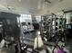 Bright gym featuring modern equipment, fans, and large windows with city views for an energizing workout experience at 333 W Trade St # 505, Charlotte, NC 28202