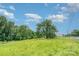 Scenic view of a grassy lot with mature trees and a charming home with a red roof at 439 Neisler Rd, Concord, NC 28025