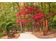 Scenic walking path through a wooded area with colorful foliage at 2972 Arches Bluff Cir, Lancaster, SC 29720