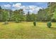 Expansive lawn featuring large shade trees is ideal for recreational activities and enjoying the natural surroundings at 321 York Southern Rd, Fort Mill, SC 29715