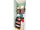 Pantry filled with cleaning supplies and storage containers on shelves and a rolling cart at 4048 Cascade Dr, Gastonia, NC 28056