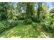 An overgrown backyard with a grassy area in the center at 904 Edgewood Cir, Gastonia, NC 28052