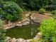 Backyard pond with rocky waterfall feature and vibrant plants adding to the serene outdoor space at 9212 John Hawks Rd, Cornelius, NC 28031