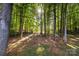 Beautiful backyard backing onto wooded area with a hammock feature, perfect for relaxation and enjoying nature at 1445 Deer Forest Dr, Indian Land, SC 29707