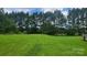 Large grassy field with tall mature trees along the back of the property at 1672 Riverview Rd, Lincolnton, NC 28092
