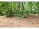 Wooded backyard featuring a wrought iron fence offers natural privacy and a sense of seclusion at 171 Highland Woods Ct, Denver, NC 28037
