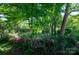 The heavily wooded backyard has an overgrown chain link fence and debris at 3220 Harmony Hwy, Harmony, NC 28634