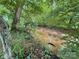 View of a stream meandering through the property's wooded area at 370 Miracle Dr, Salisbury, NC 28146