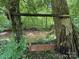 Outdoor image featuring a wooden swing near a creek at 370 Miracle Dr, Salisbury, NC 28146