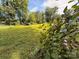 View of lush green backyard and surrounding landscape at 370 Miracle Dr, Salisbury, NC 28146
