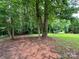 A spacious backyard featuring lush greenery and mature trees offering shade and privacy at 613 Stacy Ridge Rd, Gastonia, NC 28052