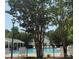Community pool featuring lounge chairs and a covered sitting area surrounded by mature trees at 10105 Reindeer Way Ln, Charlotte, NC 28216
