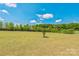 Spacious backyard featuring a lush lawn and privacy trees at 1012 Leland Dr, Wesley Chapel, NC 28104