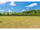Large backyard view showing privacy fence and mature trees at 1012 Leland Dr, Wesley Chapel, NC 28104