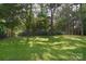 Large, grassy backyard with mature trees and lush greenery offering privacy at 14232 Kendalton Meadow Dr, Mint Hill, NC 28227