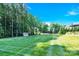 Expansive backyard featuring a large lawn, privacy landscaping, and storage shed at 141 Castle Dr, Mooresville, NC 28117