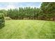 Well-manicured backyard features lush green grass, privacy trees, and a serene atmosphere at 2019 Heirloom Ct, Matthews, NC 28104