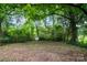 View of the backyard featuring lush green foliage and open space at 4510 Wildwood Ave, Charlotte, NC 28208