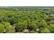Overhead shot capturing a dense tree canopy with glimpses of homes in a peaceful residential setting at 498 Glory Ct, Fort Mill, SC 29715