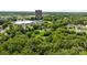 Overhead shot capturing dense greenery with buildings in the background, a mix of nature and urban development at 498 Glory Ct, Fort Mill, SC 29715
