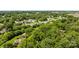 Bird's-eye view of lush tree canopy with houses dotted among the trees in a suburban neighborhood at 498 Glory Ct, Fort Mill, SC 29715