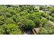 Aerial view of lush tree canopy with houses nestled among trees in a developed community at 498 Glory Ct, Fort Mill, SC 29715