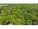 Lush canopy view from above a property, boasting mature trees and serene natural surroundings at 498 Glory Ct, Fort Mill, SC 29715