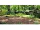 Spacious backyard offering natural foliage at 7705 Stone Canyon Ln, Charlotte, NC 28227