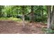 Overgrown backyard with shed in need of maintenance at 7705 Stone Canyon Ln, Charlotte, NC 28227