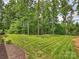 Expansive backyard with lush green grass and a border of mature trees at 822 River Oaks Ln, Charlotte, NC 28226
