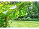 Lush grape vines overhang the manicured lawn and garden of this property at 1069 Westlake Dr, Kannapolis, NC 28081
