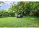 An overgrown backyard with a car in the back at 2312 Tate St, Charlotte, NC 28216