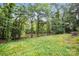 Expansive backyard with lush green lawn and mature trees, leading to a calm waterfront view, creating a peaceful setting at 4412 Dobys Bridge Rd, Fort Mill, SC 29707