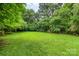 Expansive backyard with lush greenery, providing a private and serene outdoor space at 822 Cantwell St, Charlotte, NC 28208